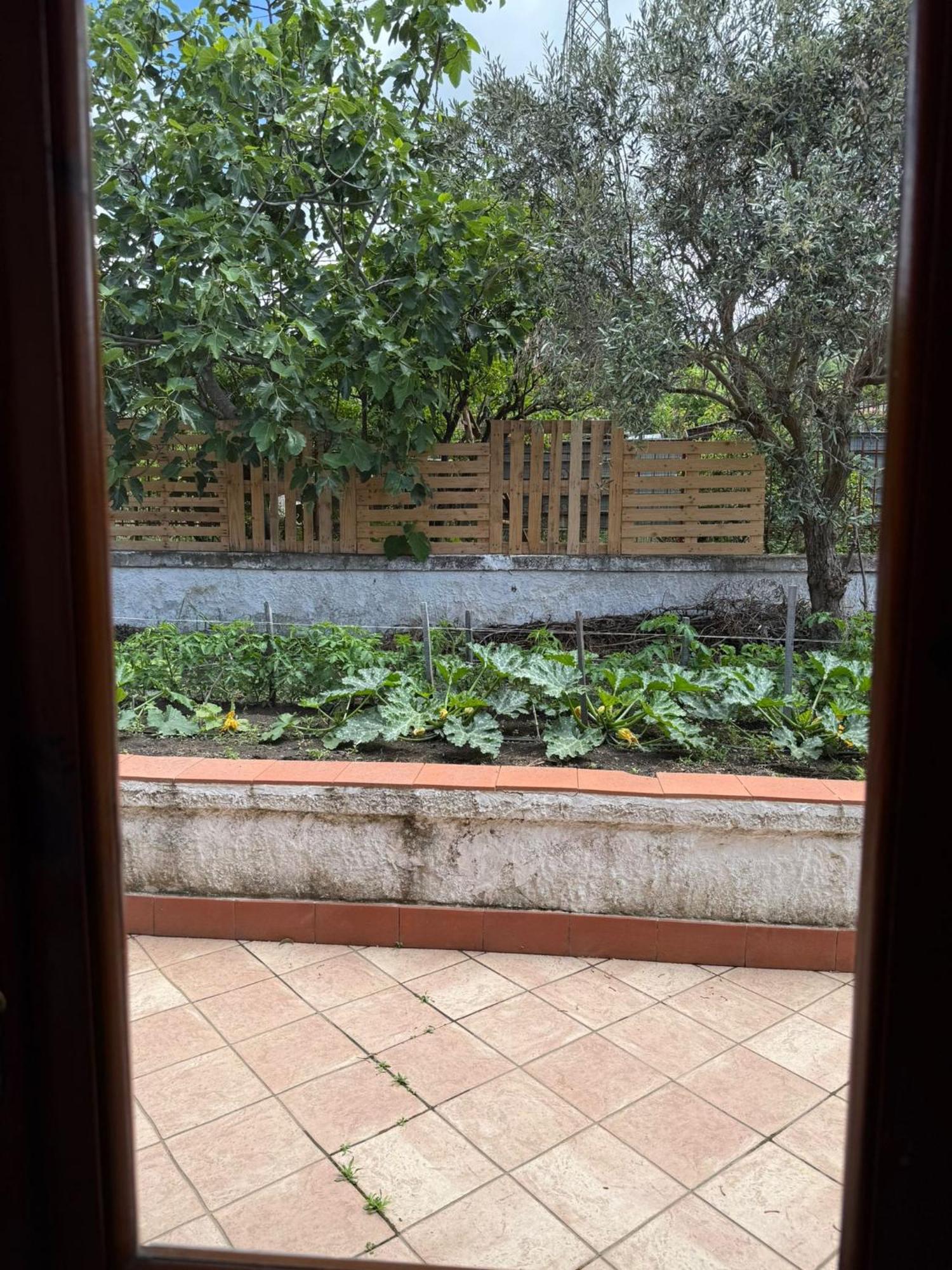 B&B Ioli Vesuvio Ercolano Kültér fotó