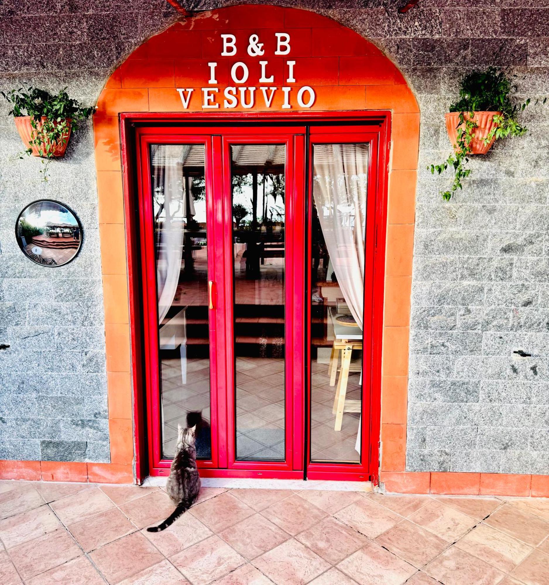 B&B Ioli Vesuvio Ercolano Kültér fotó